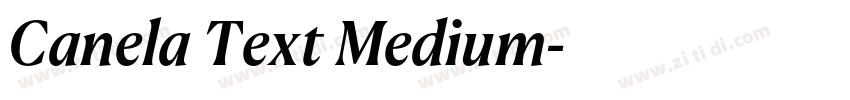Canela Text Medium字体转换